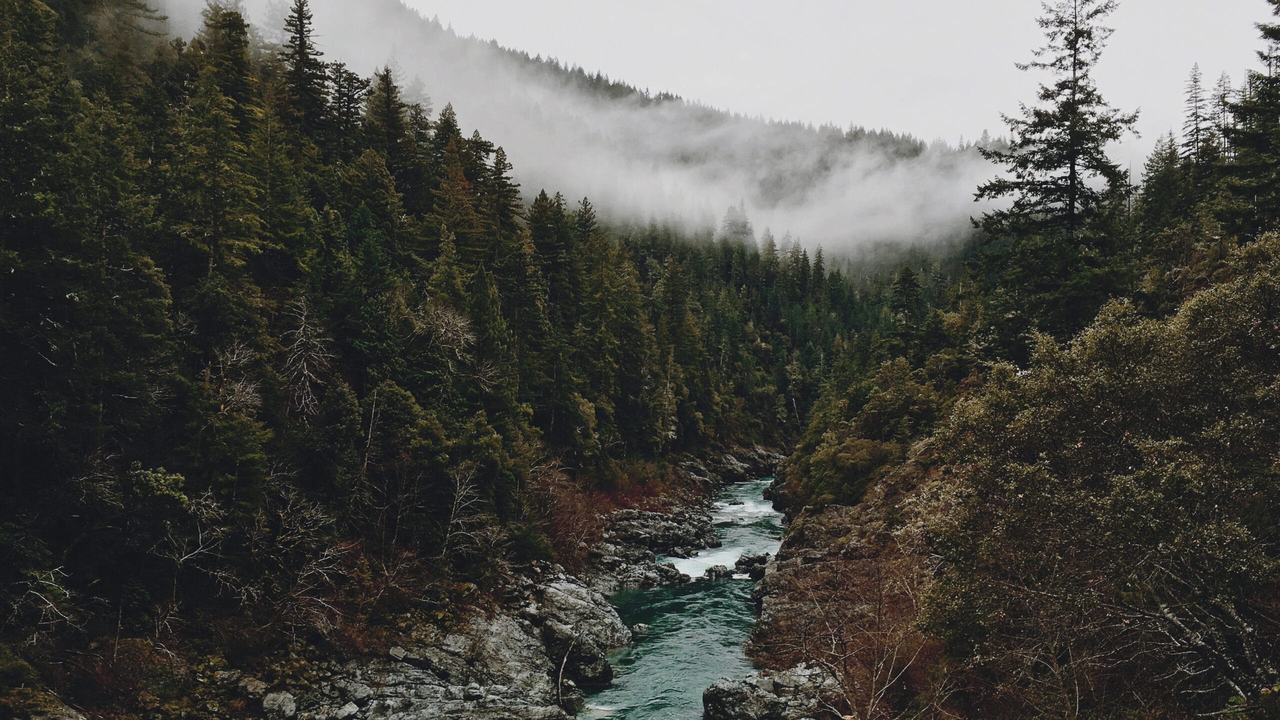 Bosque de coníferas atravesado por un río en Guatemala