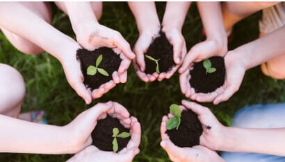 Voluntarios en jornada abierta de reforestación