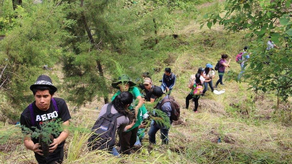 Voluntarios plantando árboles nativos en una ladera con riesgo de erosión