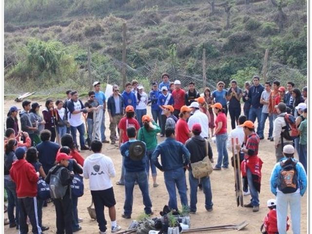 Voluntarios reunidos en una de las primeras jornadas de reforestación de Plantemos