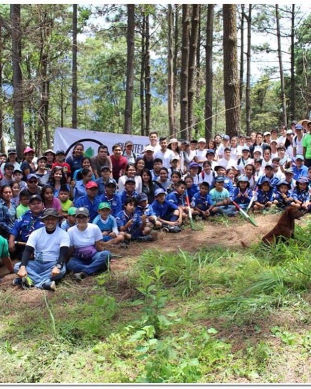 Decenas de voluntarios reunidos bajo los pinos antes de empezar a plantar