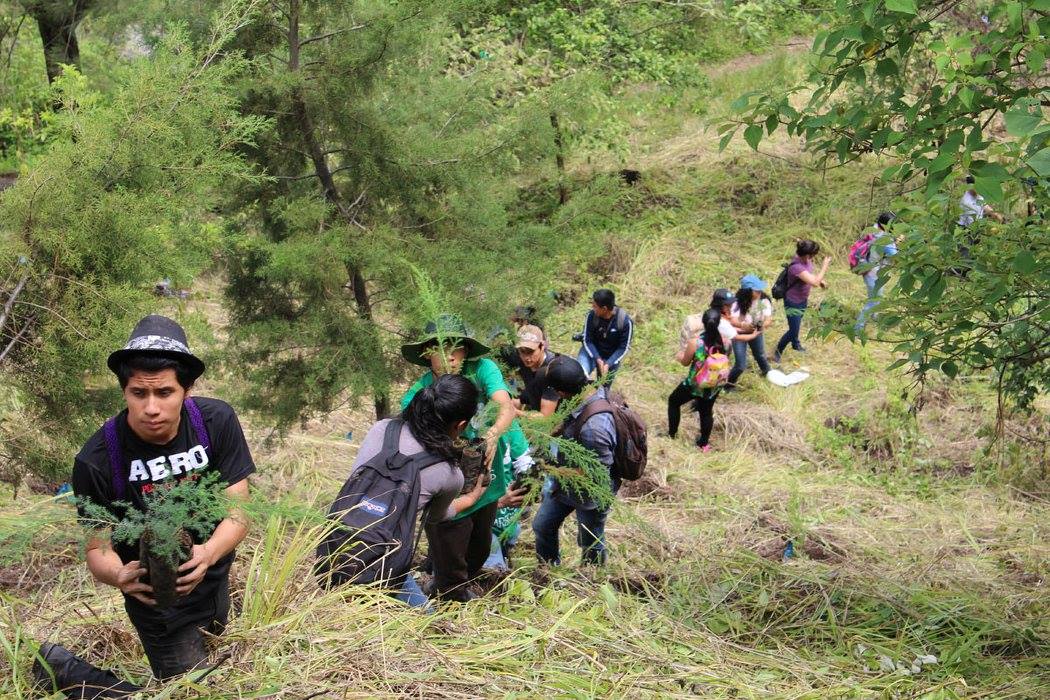 Voluntarios de Plantemos celebrando en una jornada de reforestación