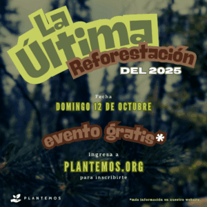REFORESTACIÓN 12 DE OCTUBRE